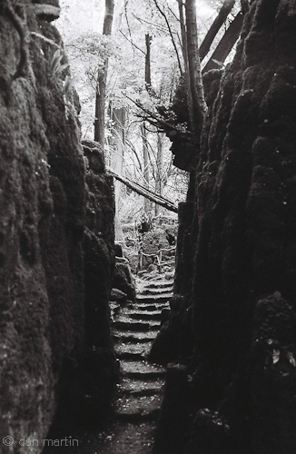 wpid1880-puzzlewood.jpg
