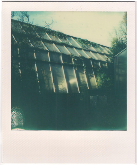 Twenty One: Greenhouse