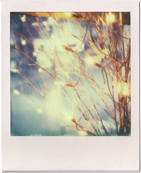 Content We are A view A setup From inside; out. Warmth A moment