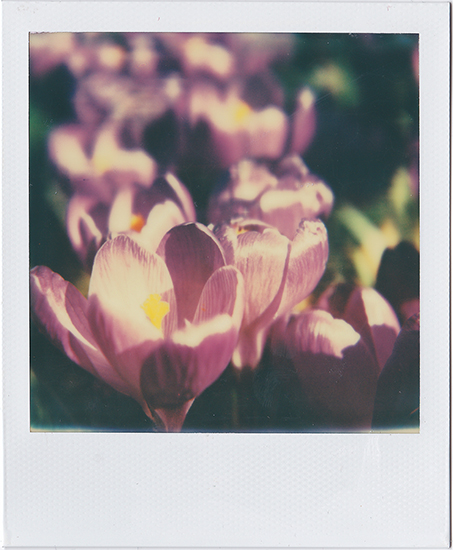 In nature science and physics a series of laws rules to the universe such beauty can be wrought