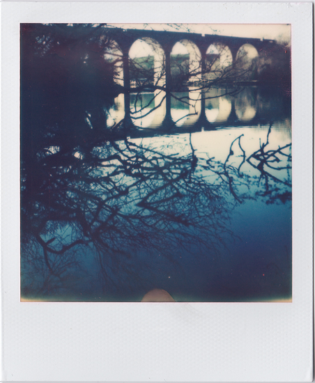 It stretches over Touching gently; roots of its own 