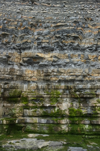 The Sea's Impression