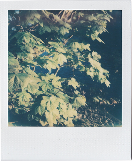 light reflected a dance of energy 