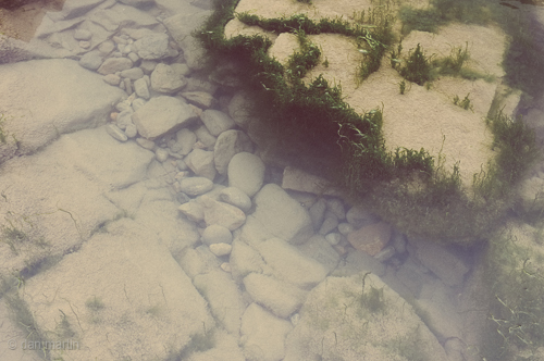 The rock and pool so nice and cool...