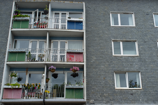 Regimented Ordered Systematic 