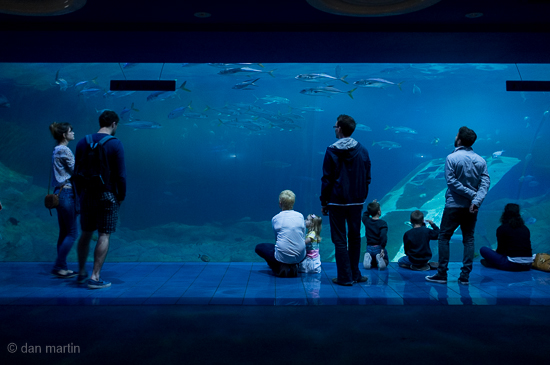 This otherworldly view watching intent wondering absorbing