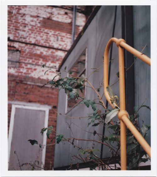 Unused.  Being retaken. Yashica Mat 124-g