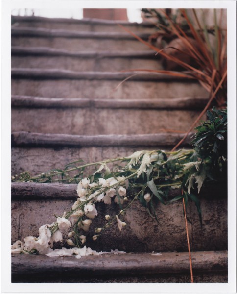 Fallen Flowers Yashica Mat 124-g