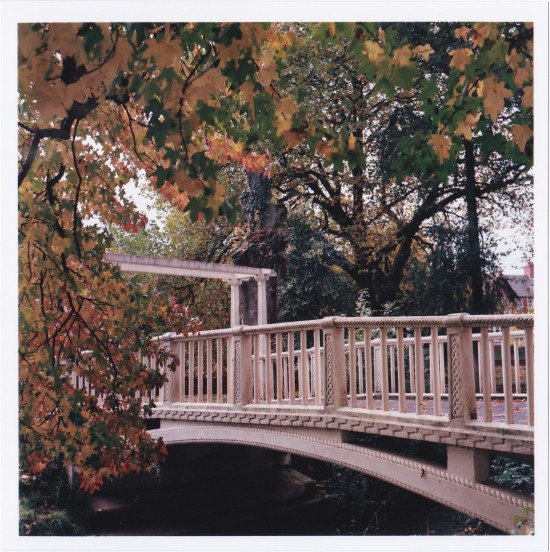 separated;  To be connected.  Yashica Mat 124-g