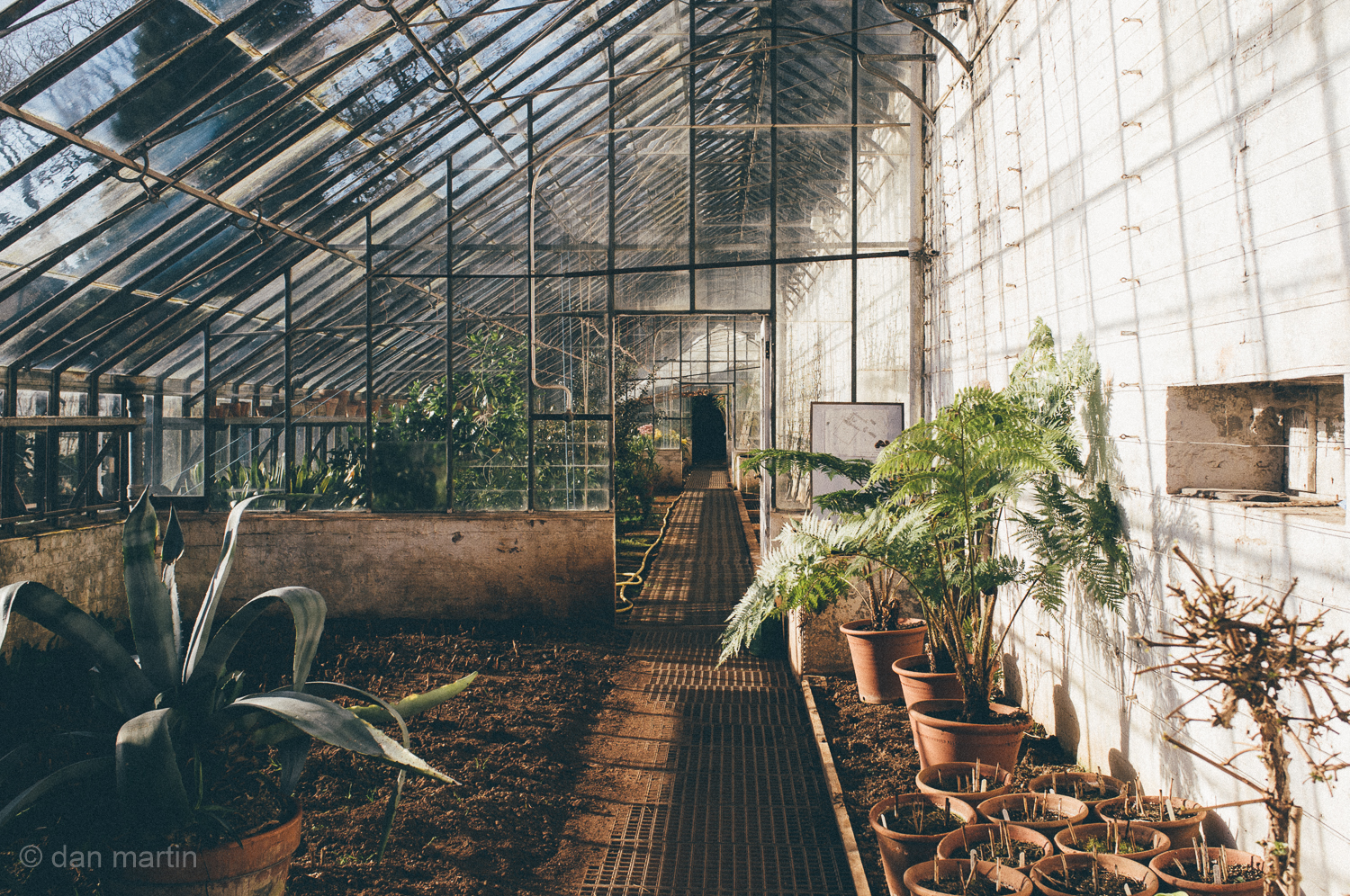 home for plants and green fingers #Tyntesfield