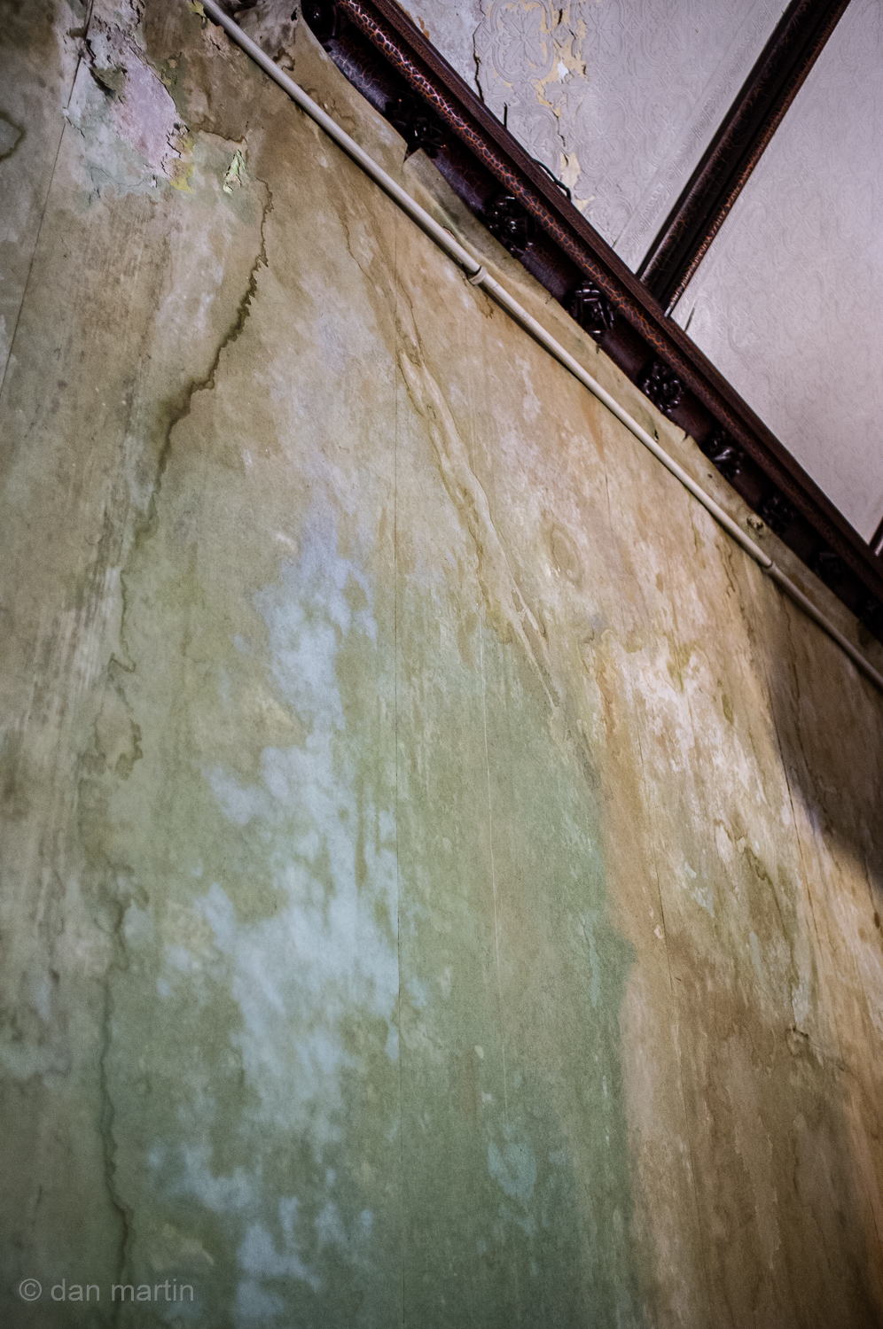 Such wonderful colours and textures in this old damp wallpaper.  #Tyntesfield