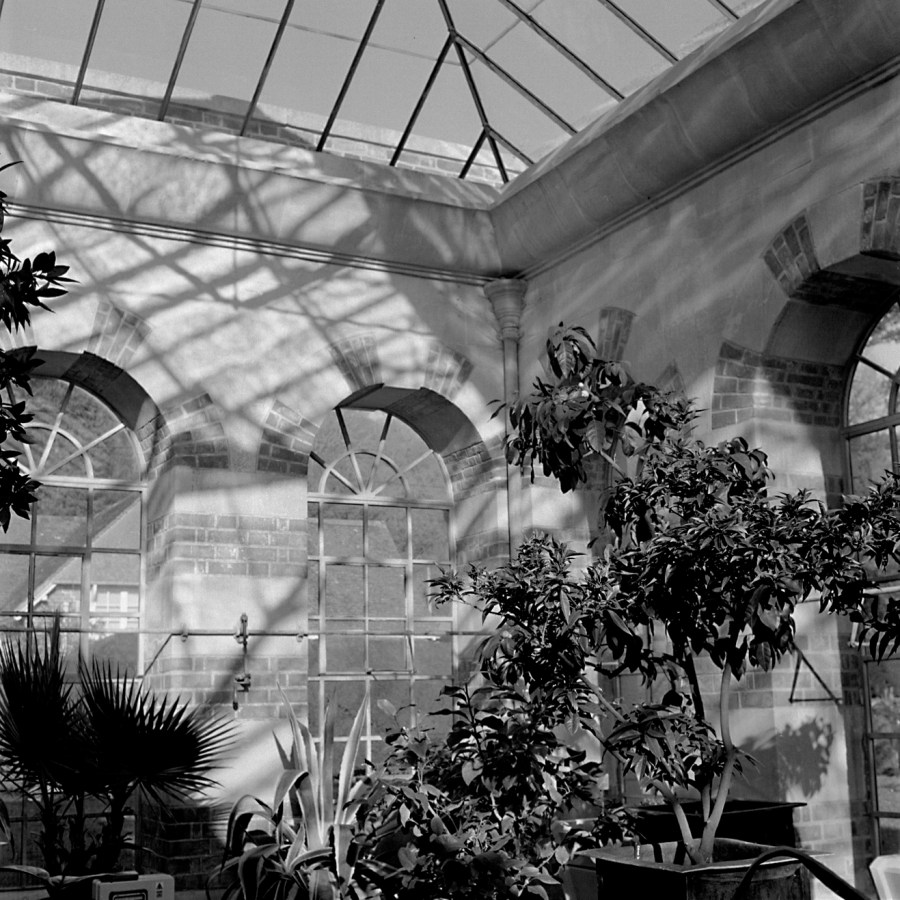 Through glass silhouettes and shadow