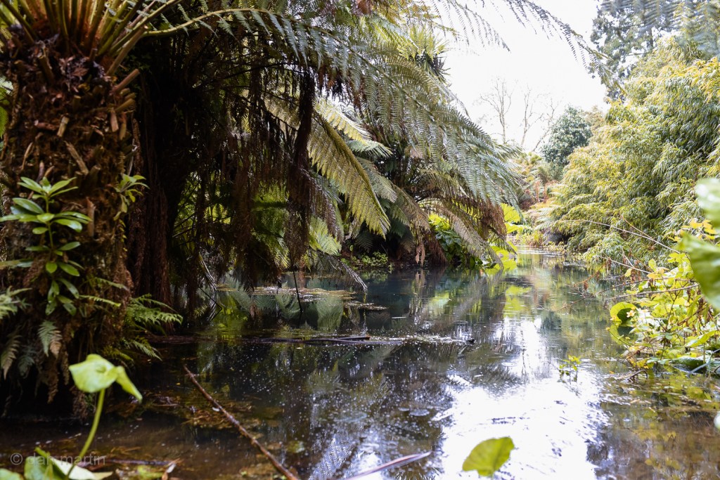 The Lost Gardens of&nbsp;Heligan