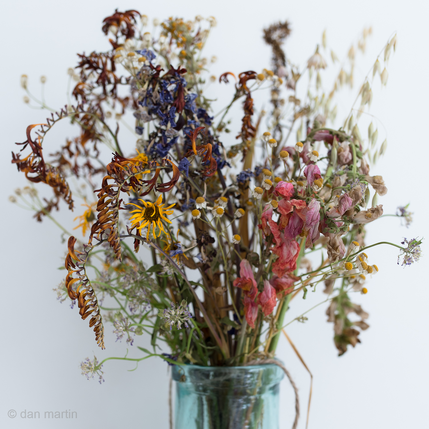 Beauty in flowers wilting