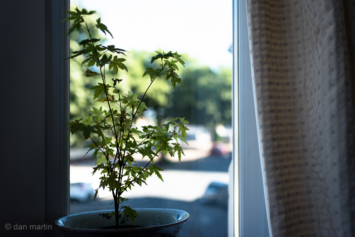 That moment. When all is still and the sunlight filters through the window #