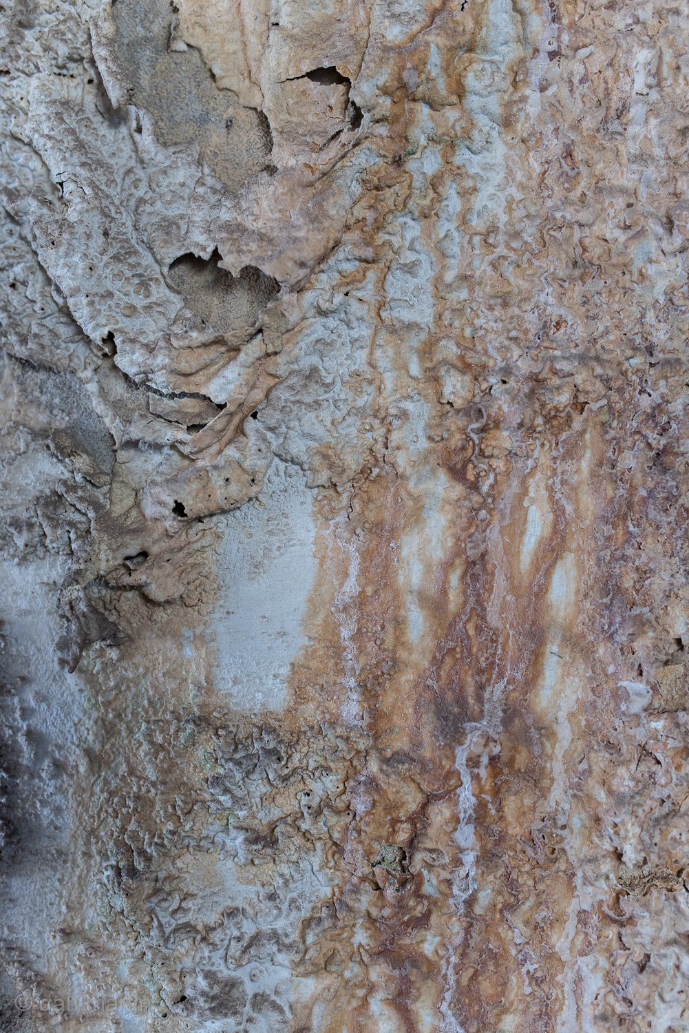 Some crazy weathered worn wall #textureporn St. Catherine’s Fort, Tenby