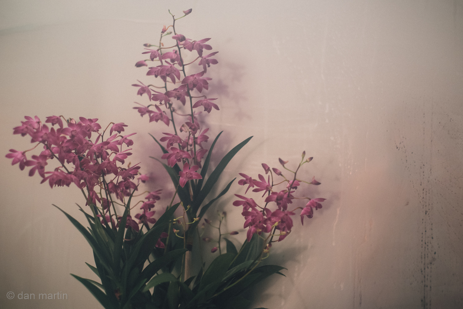 Mist & condensation upon the mirror