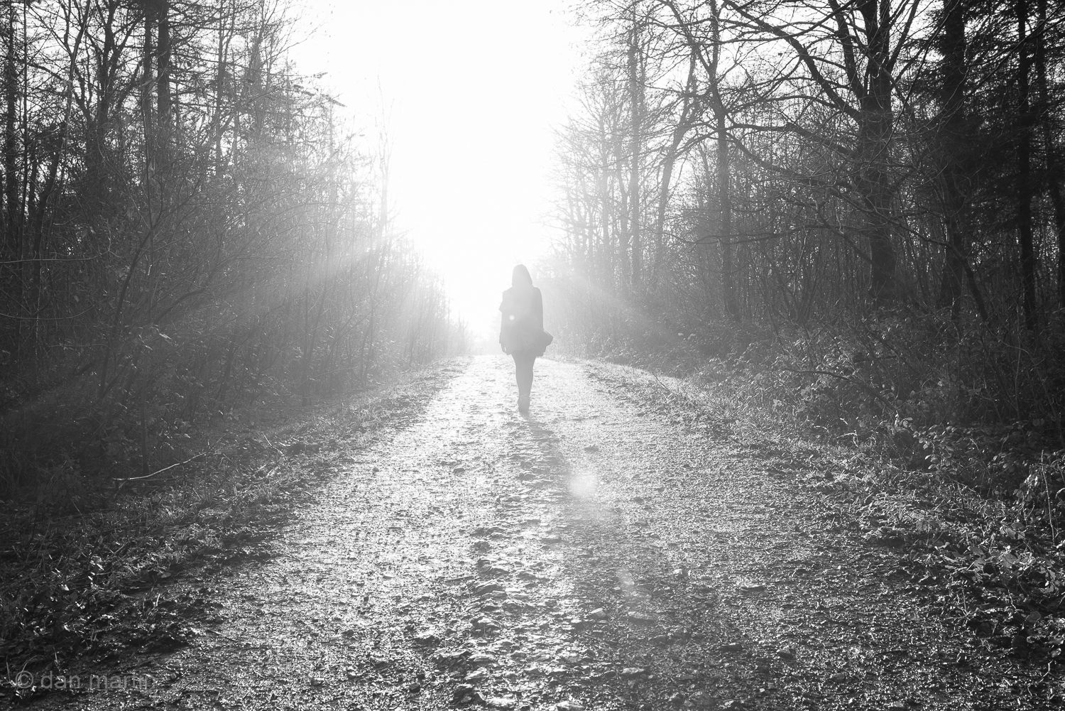 The Light along the path drawn the grasping rays 