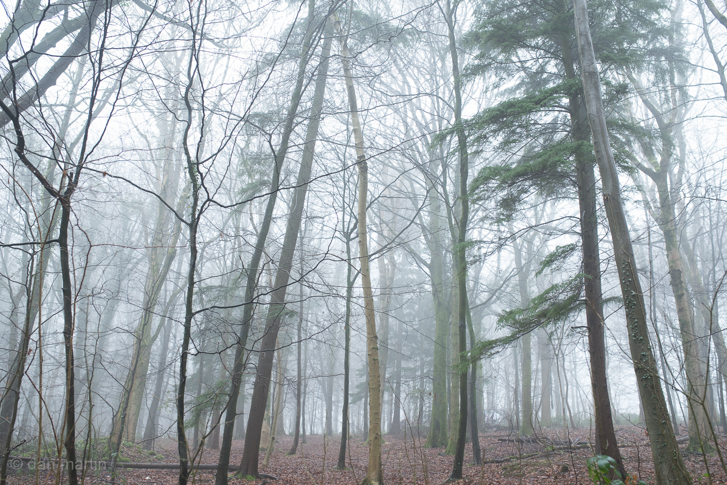 Silent and daring Surrounded Encapsulated