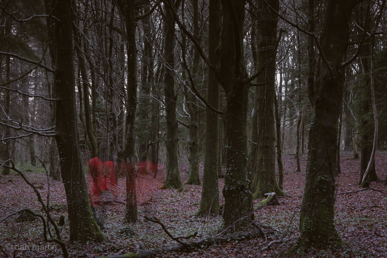 In Red, wandering. Stark. 