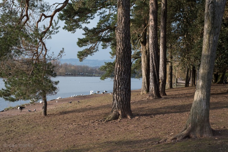 I like the light in this photo. Its soft, graceful. Shadows not too harsh, but bring out interest. It 'feels' nice.