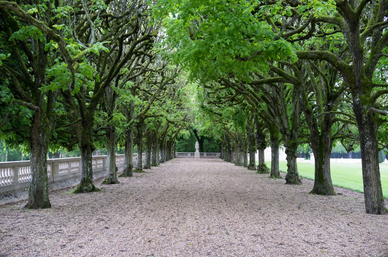 Part of the grounds around Château de Voisins, France