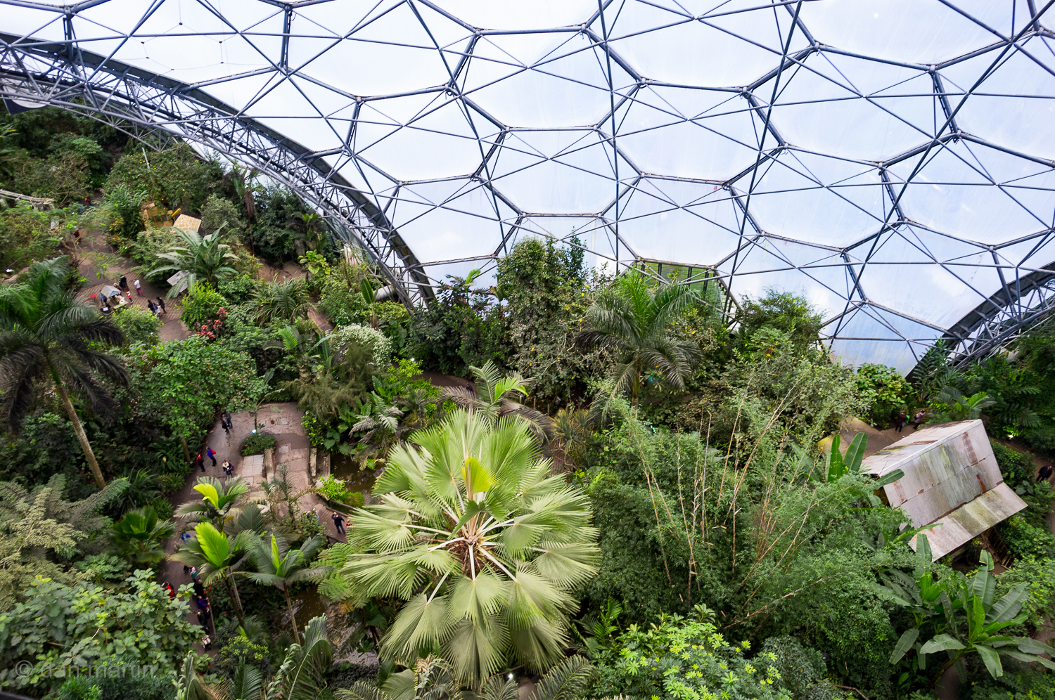 this-is-the-future-2