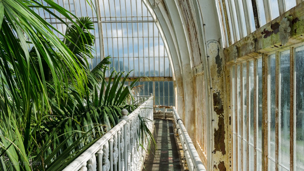 The Palm House
