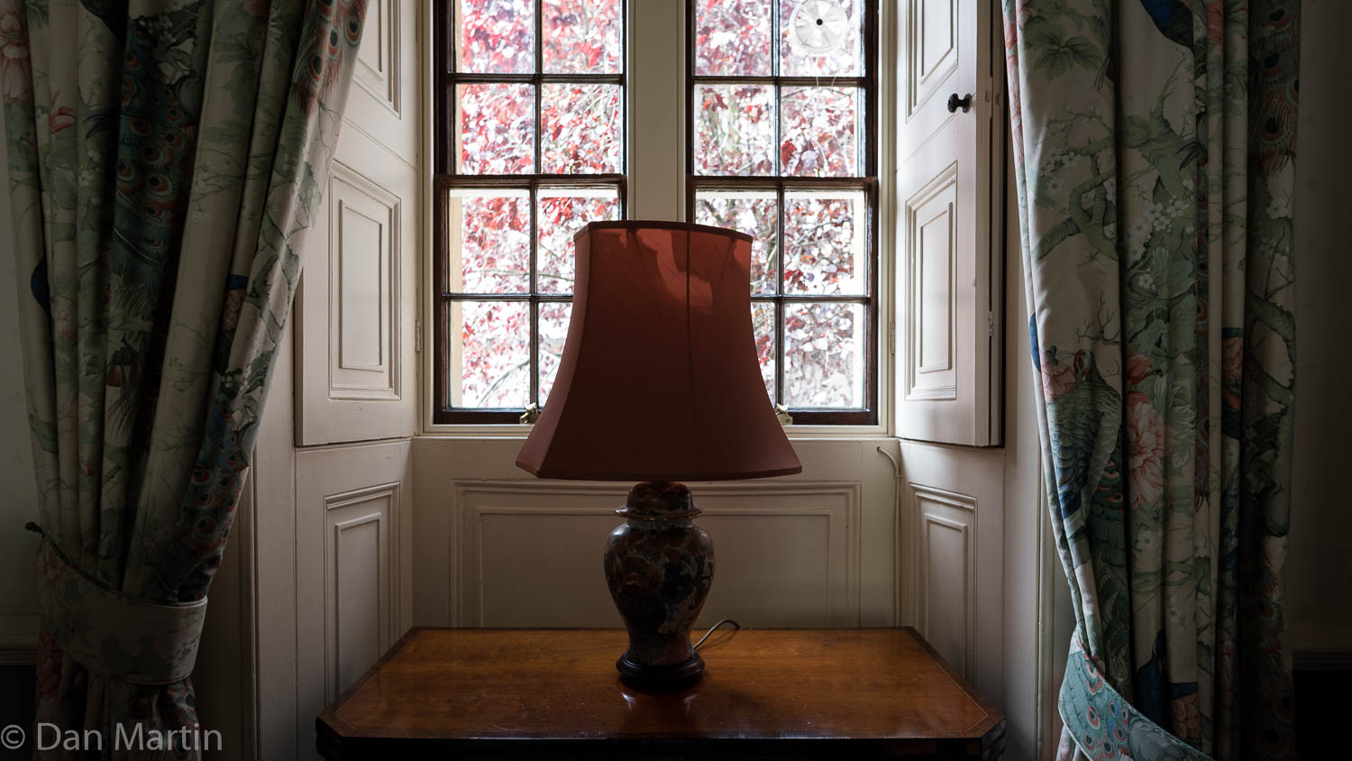 Light for Pink, Pink Light