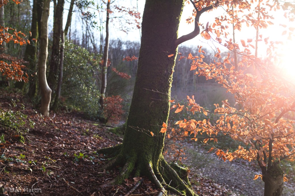 d a n c e , t h i s n e w l i g h&nbsp;t