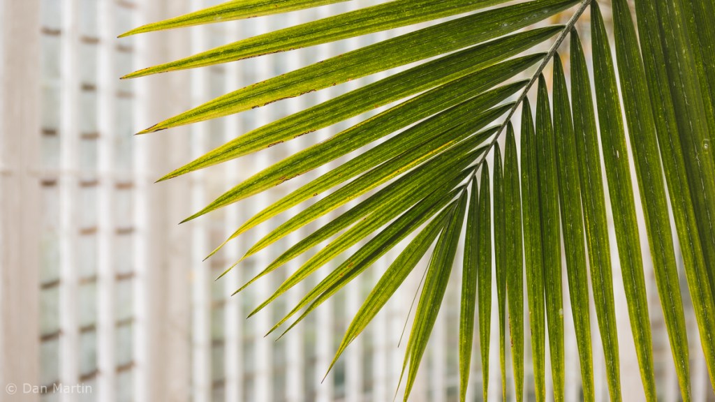 a h o u s e f o r t h e p l a n t&nbsp;s