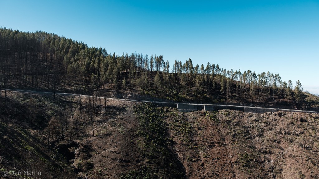 w h a t w e s e e o n t h i s r o a d ( p a r t&nbsp;2)