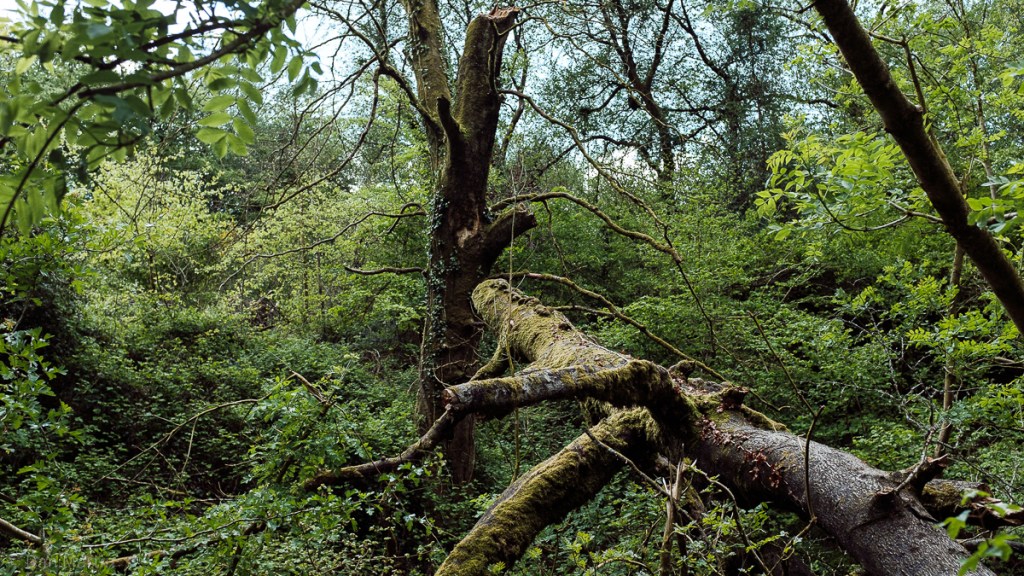 p a t h s w e f i n d #&nbsp;1