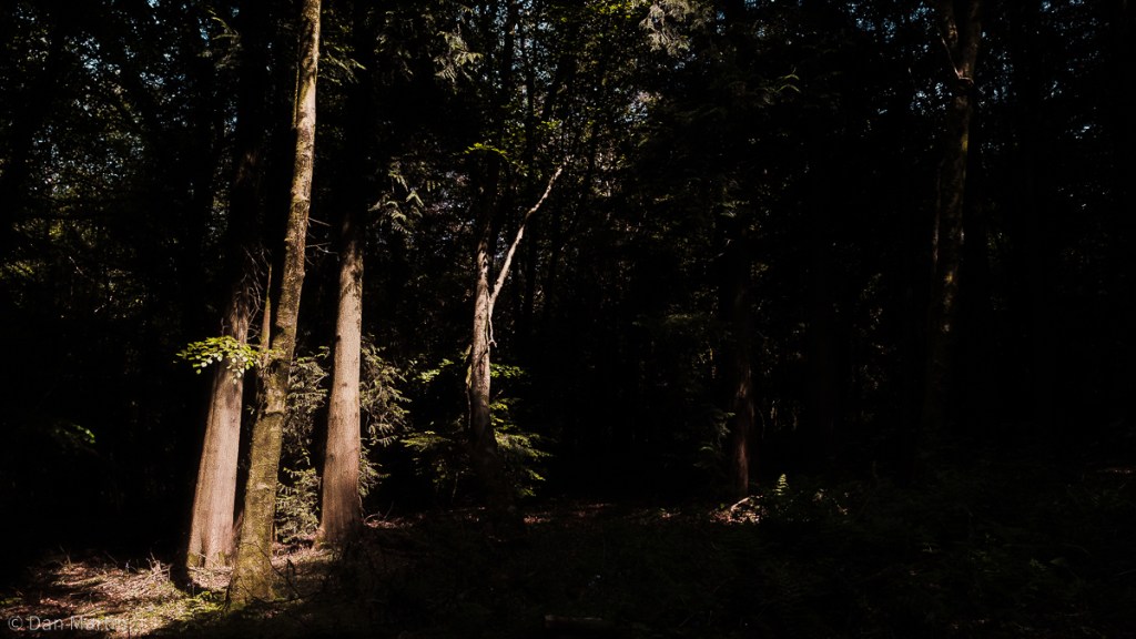 s h i f t i n g & s t i l l ( 2/2&nbsp;)