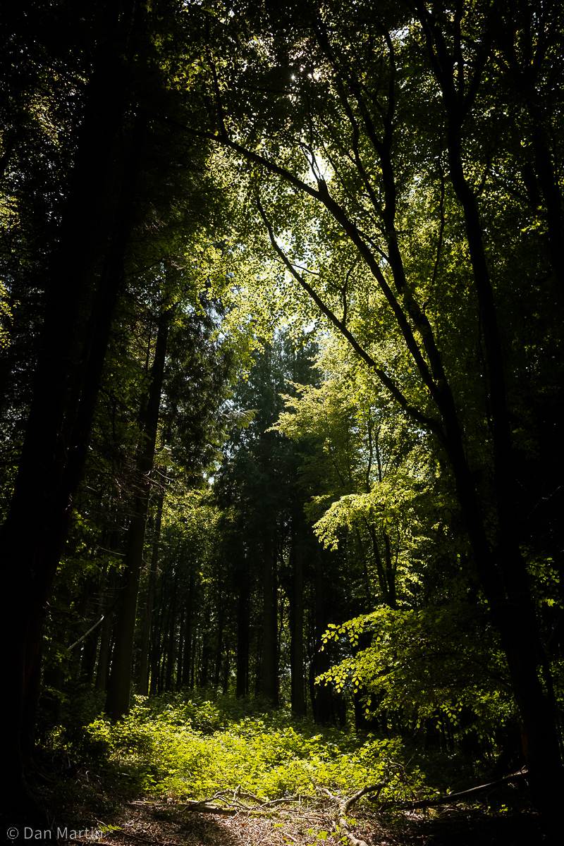 s h i f t i n g & s t i l l (&nbsp;1/2)