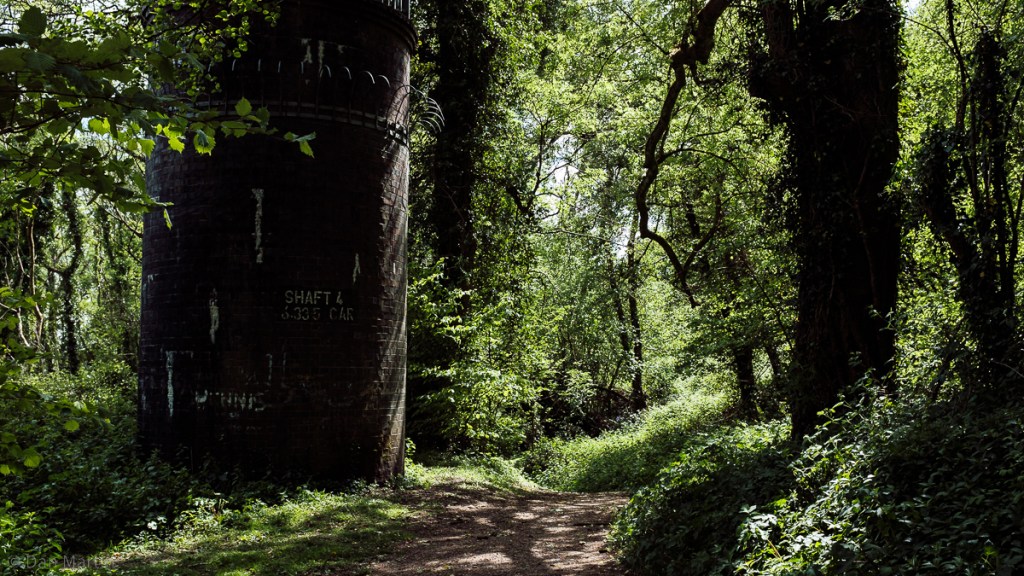 p a t h s w e f i n d #&nbsp;2