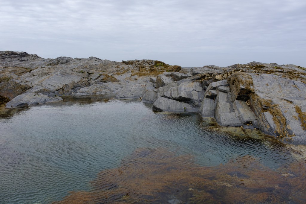 t h e r o c k a n d p o o&nbsp;l