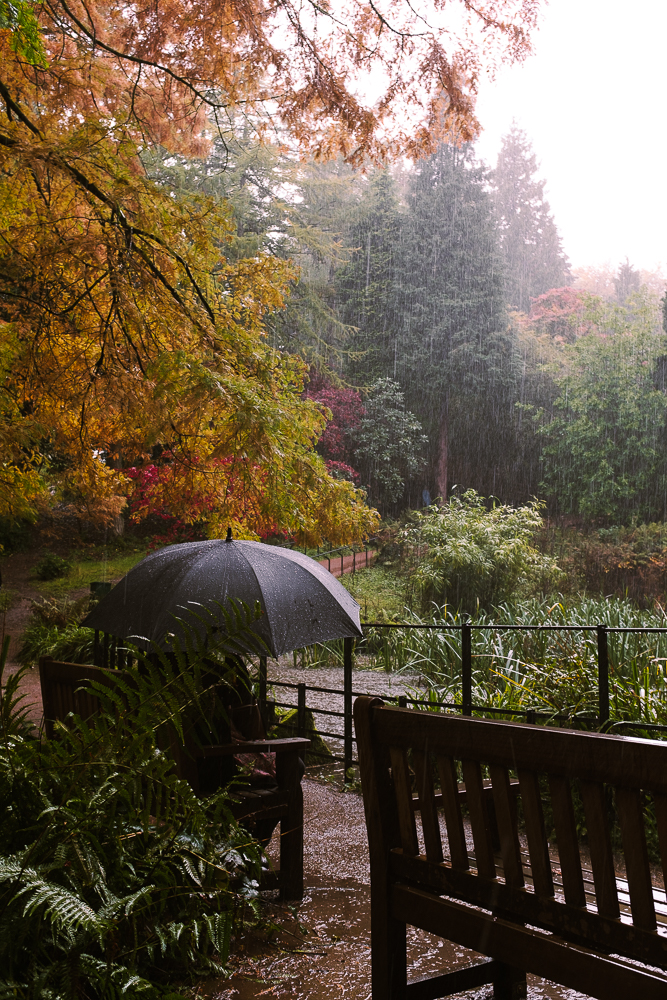 d o w n p o u&nbsp;r