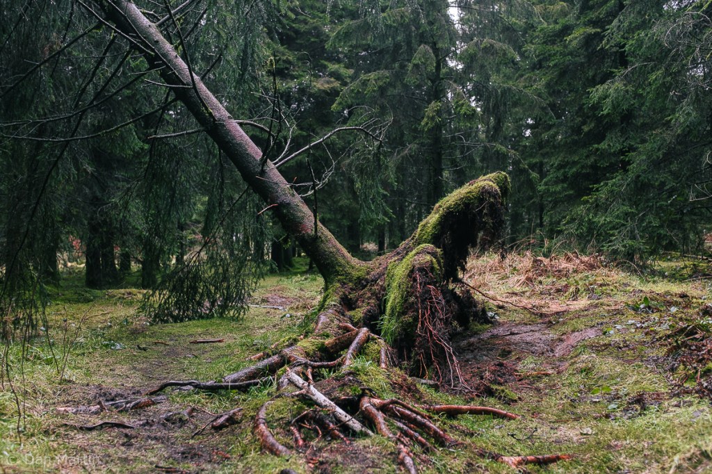 s l o w i s t h e h e a r t b e a&nbsp;t