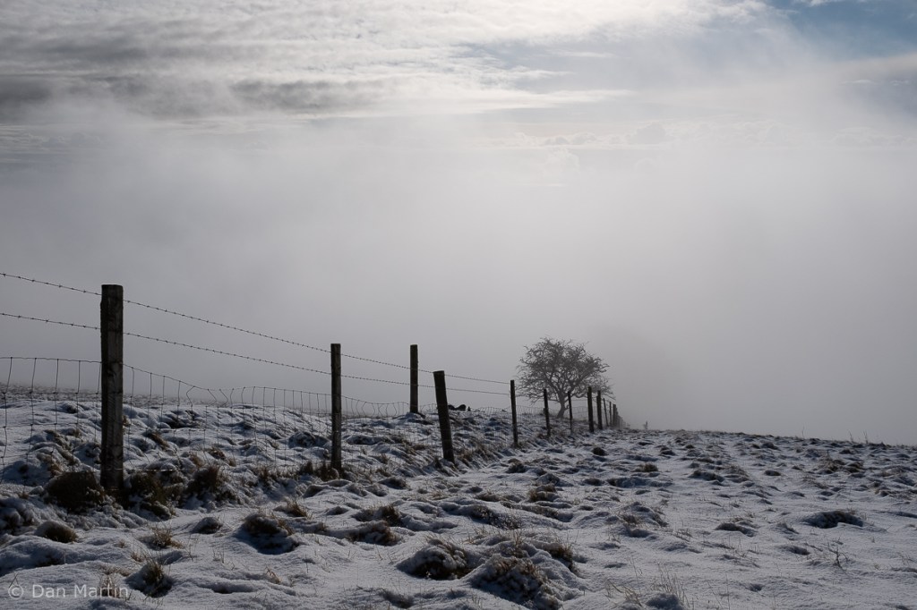 s t o p / s l o w e d / i n v i g o r a t e d&nbsp;(#1)