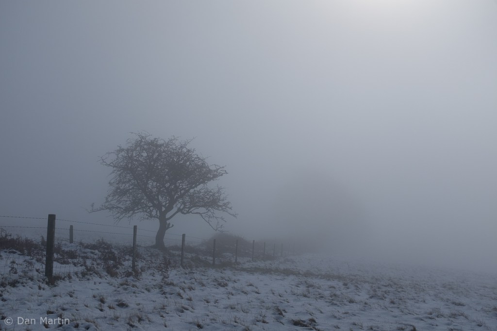 s t o p / s l o w e d / i n v i g o r a t e d&nbsp;(#2)