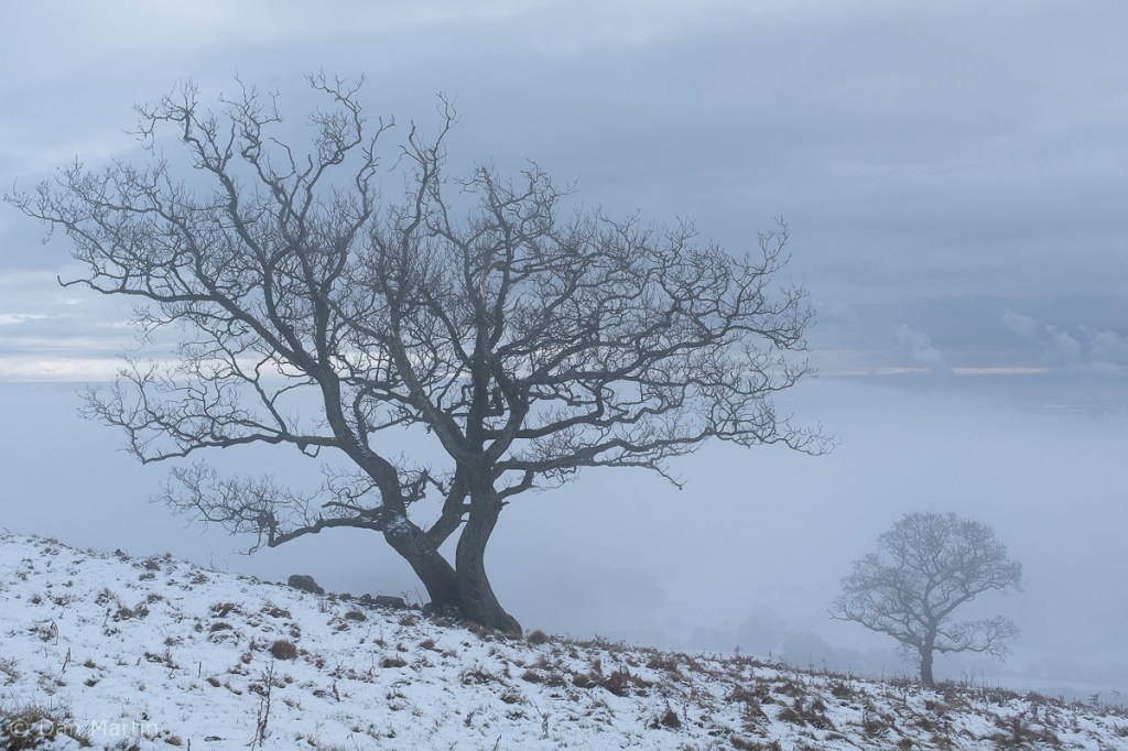 s t o p / s l o w e d / i n v i g o r a t e d&nbsp;(#3)