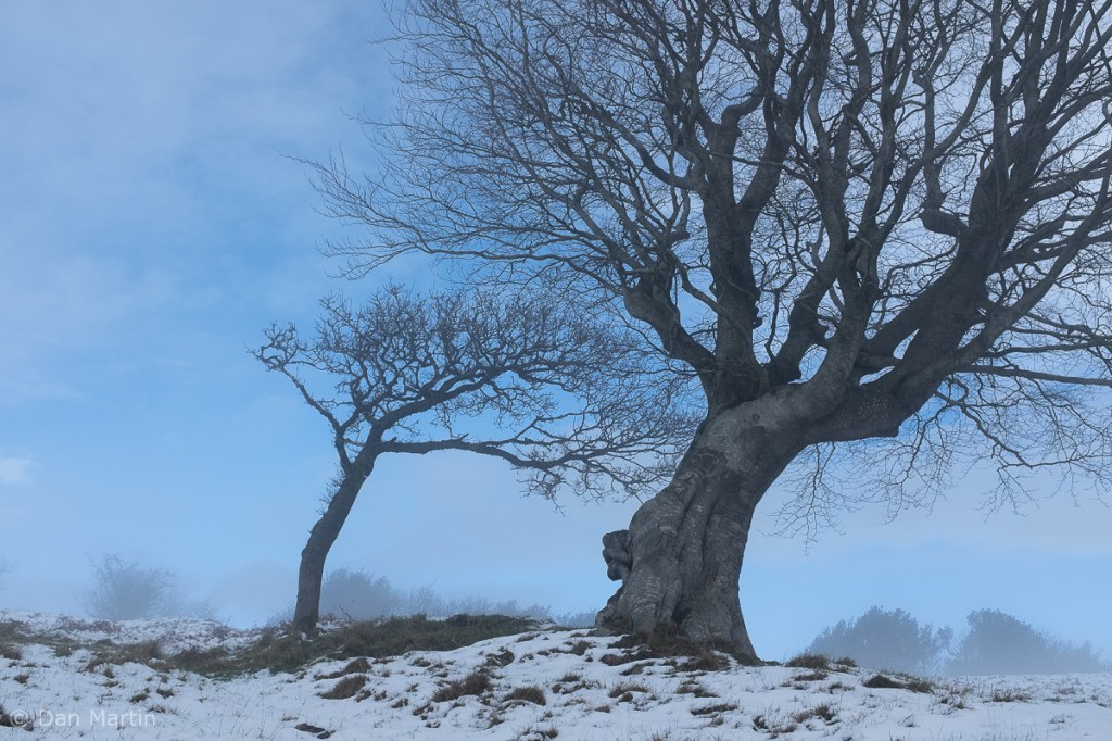 s t o p / s l o w e d / i n v i g o r a t e d&nbsp;(#4)