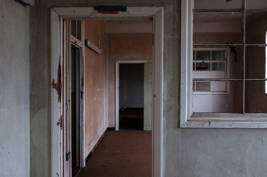 a n e w l i f e i n d e c a y&nbsp;#3