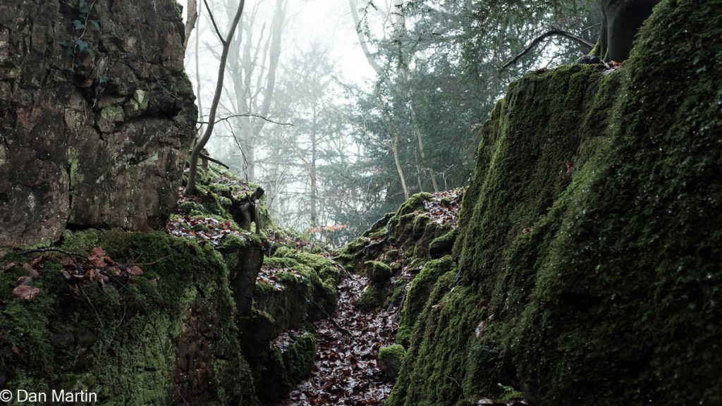 e v e r w a n d e r i n g , e n t h r a l l e&nbsp;d