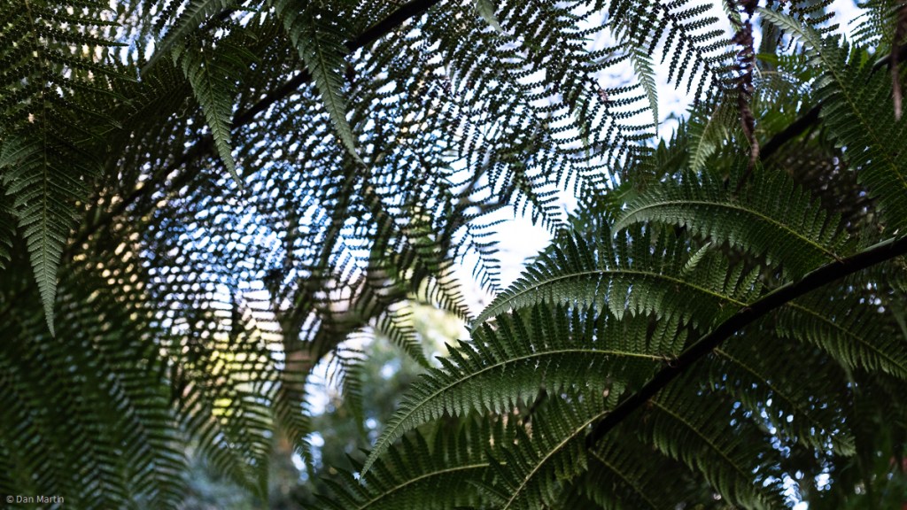 s i d e s t e p p i n&nbsp;g