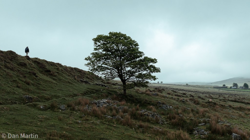 i n t o t h e m i s t&nbsp;#5