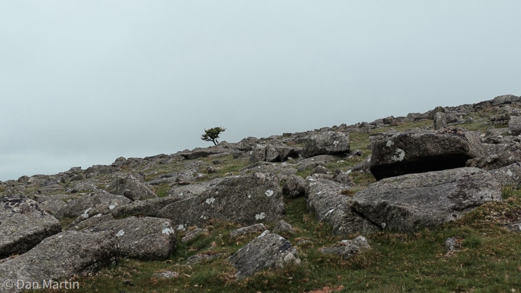 i n t o t h e m i s t&nbsp;#6