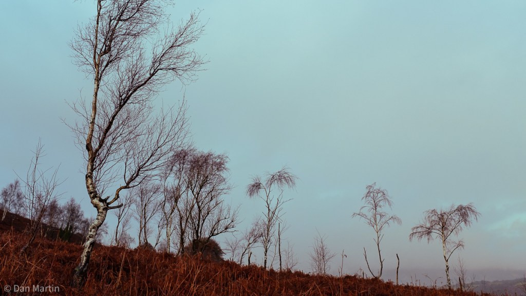 b l e e d i n g / g r o u n&nbsp;d