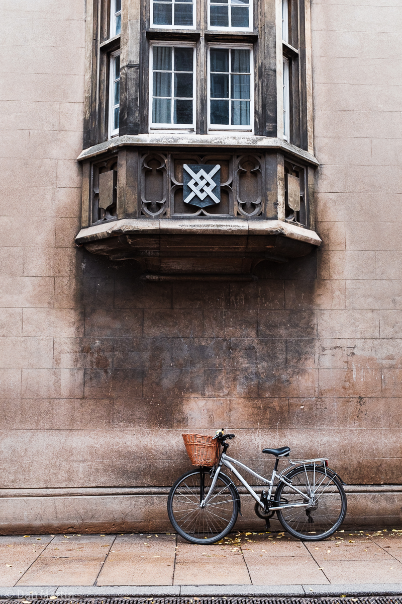 t h e s c h o l a r&nbsp;s